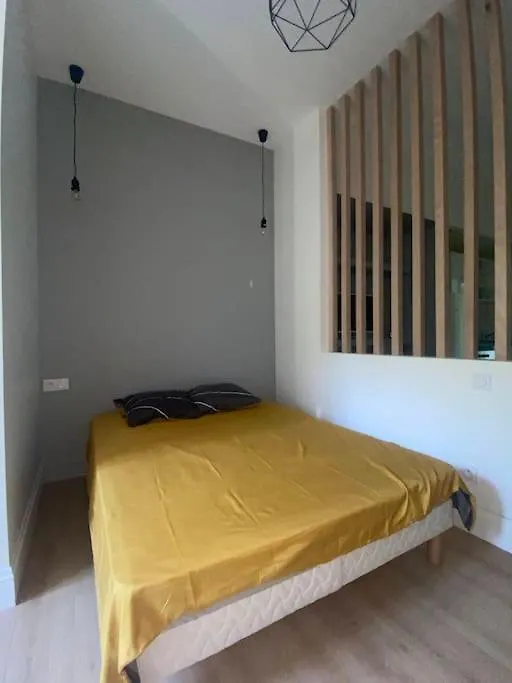 Loft Cosy Saint-Etienne Apartment 0*, Saint-Etienne (Loire) France