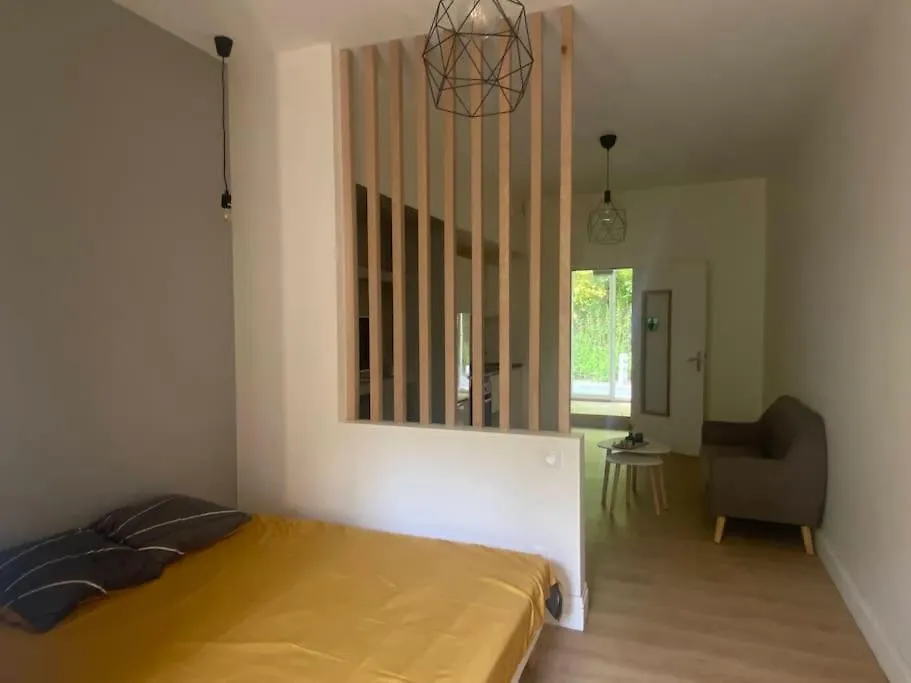 Loft Cosy Saint-Etienne Apartment France