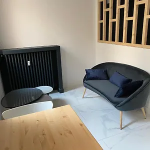 Lumière Superbe Petit Proche Cité Du Design Et Stade Geoffroy Guichard Appartement